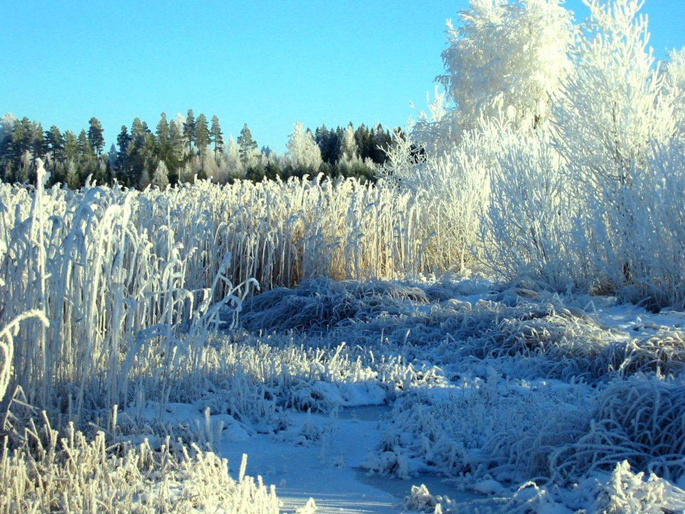 Paluu edelliselle sivulle.