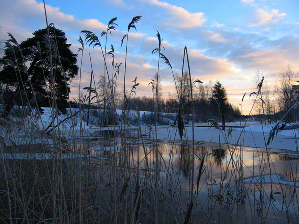 Paluu edelliselle sivulle.