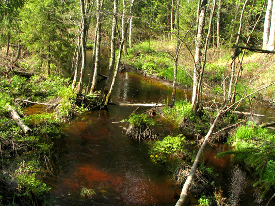 Paluu edelliselle sivulle.