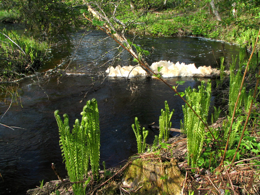 Paluu edelliselle sivulle.