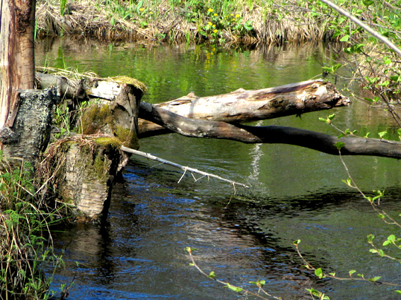 Paluu edelliselle sivulle.