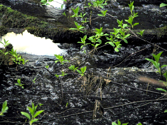 Paluu edelliselle sivulle.