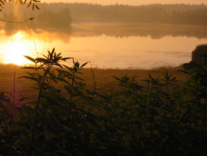 Aamukuva. Linkki 348 kt kuvaan