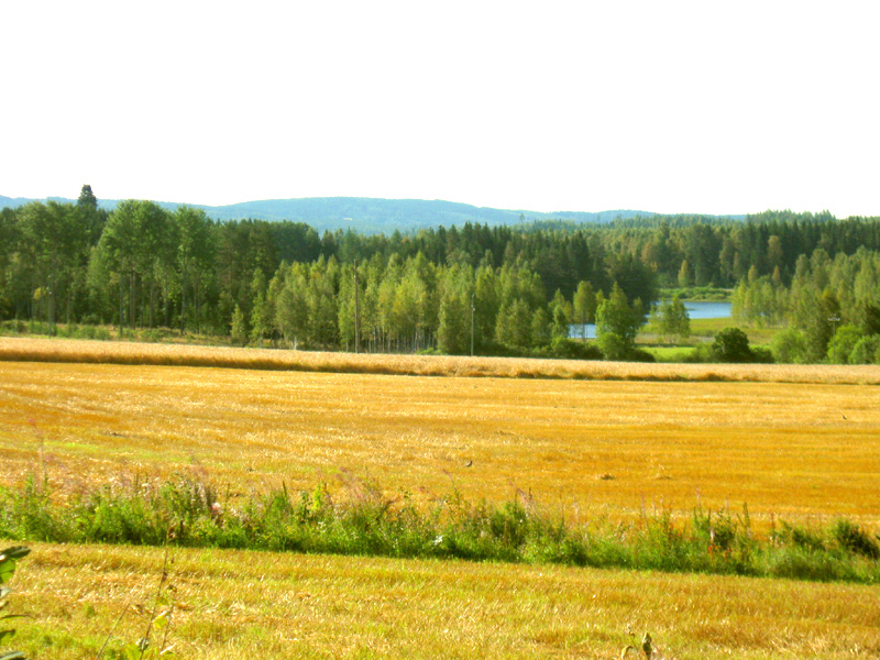 Paluu edelliselle sivulle.