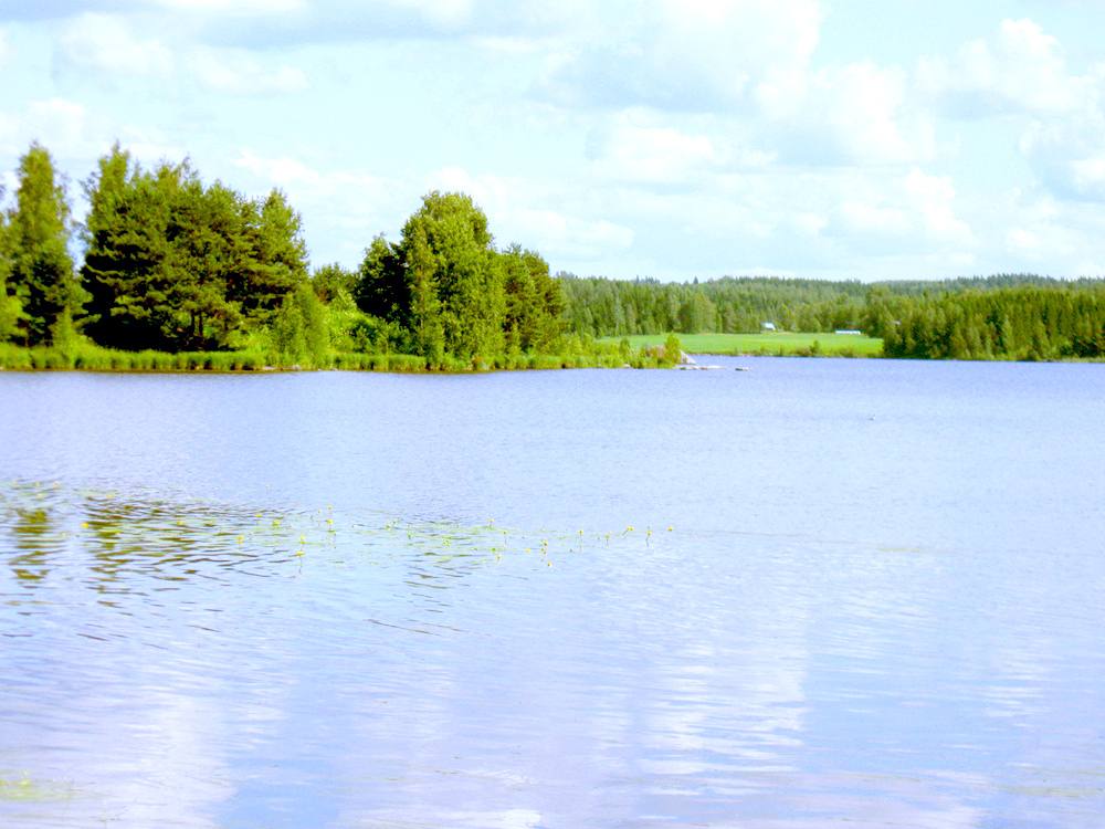 Paluu edelliselle sivulle.