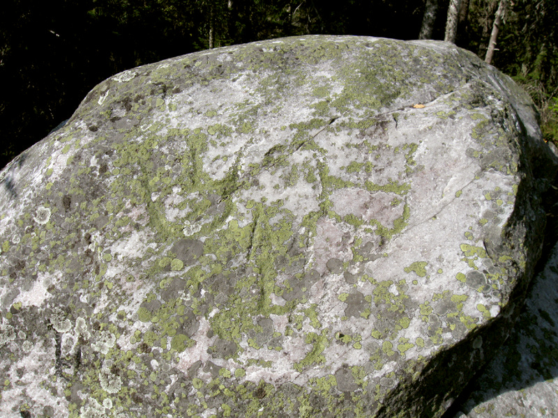 Paluu edelliselle sivulle.