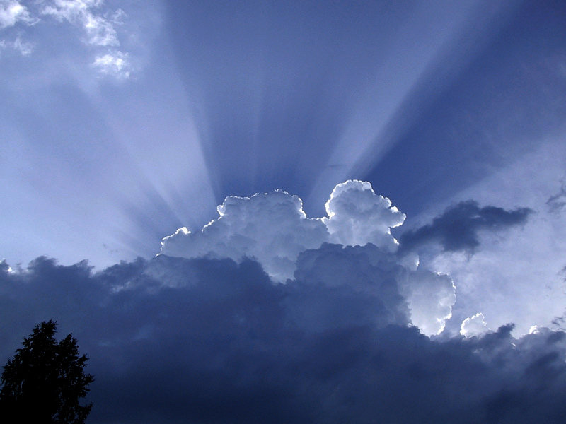 Paluu edelliselle sivulle.