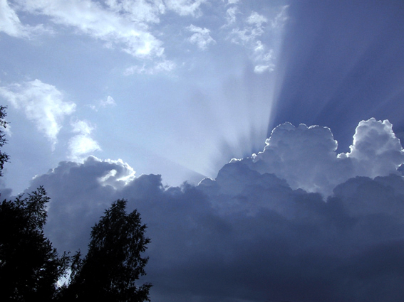 Paluu edelliselle sivulle.