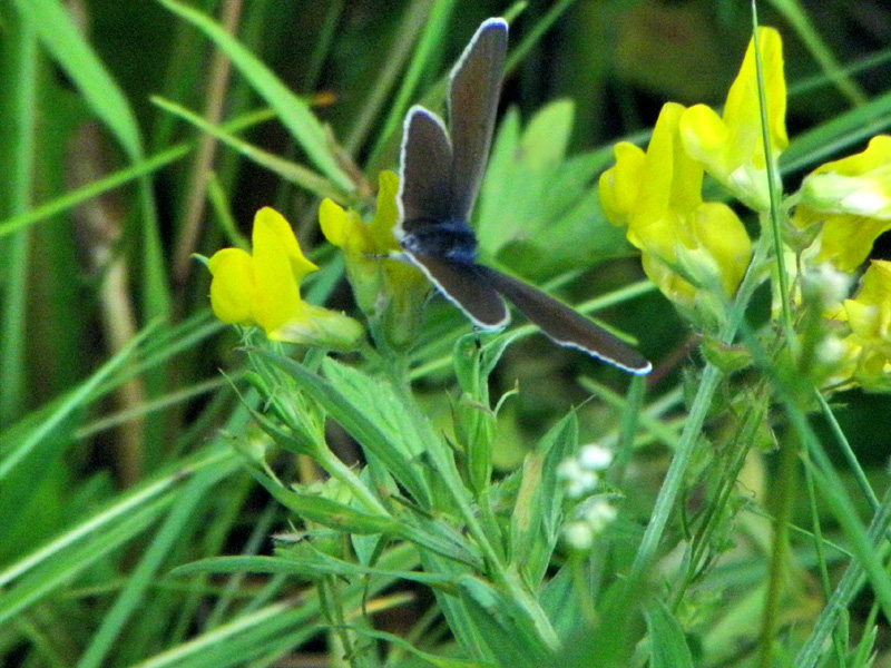 Paluu edelliselle sivulle.