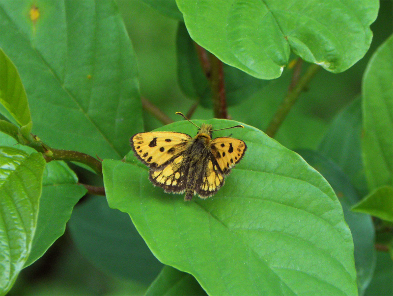 Paluu edelliselle sivulle.