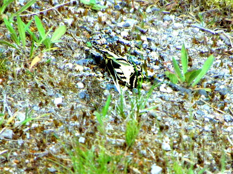 Paluu edelliselle sivulle.