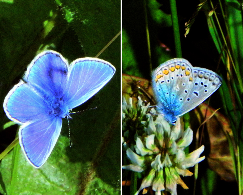Paluu edelliselle sivulle.