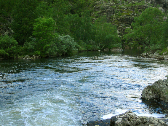 Paluu edelliselle sivulle.