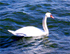 Edelliselle sivulle