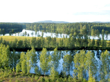 Mustalahti. Taustalla Pisanmki.