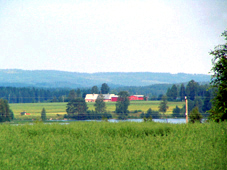 Taustalla Taaton talon rakennuksia.