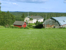 Leppvirta Pasalanmki