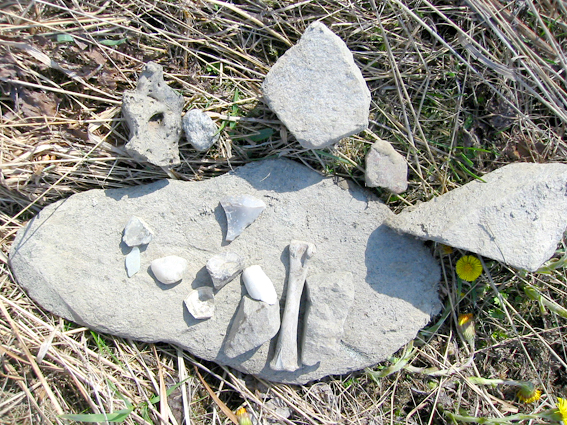 Paluu edelliselle sivulle.