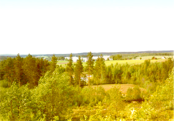 Paluu edelliselle sivulle.