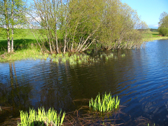 Paluu edelliselle sivulle.