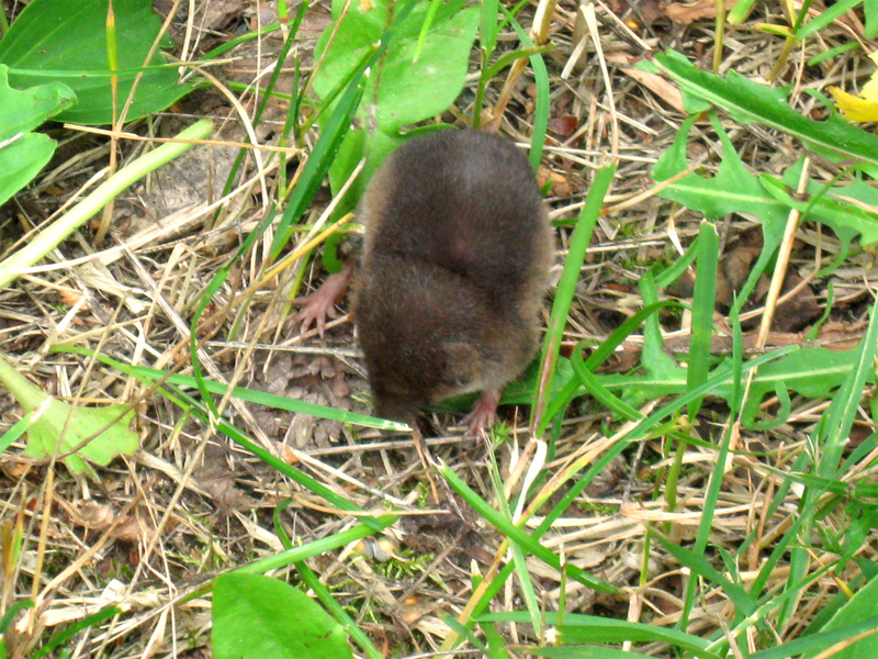 Paluu edelliselle sivulle.