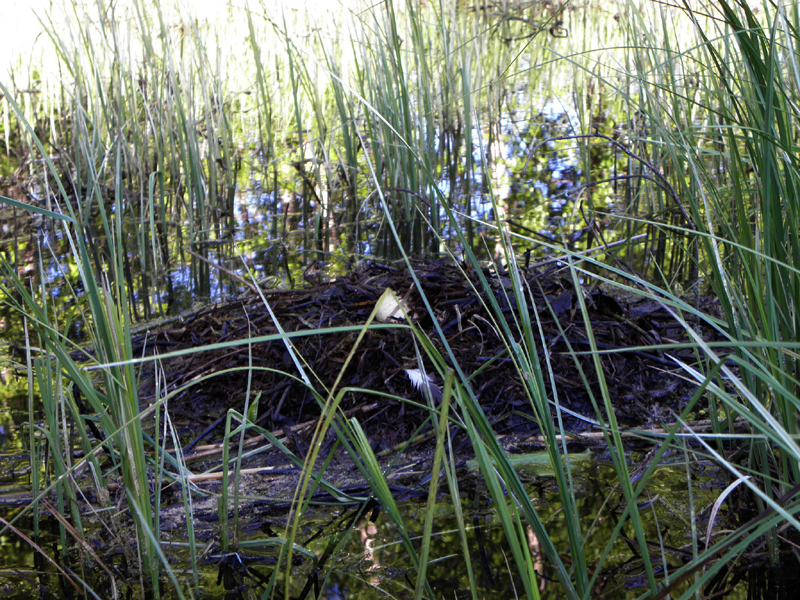 Paluu edelliselle sivulle.