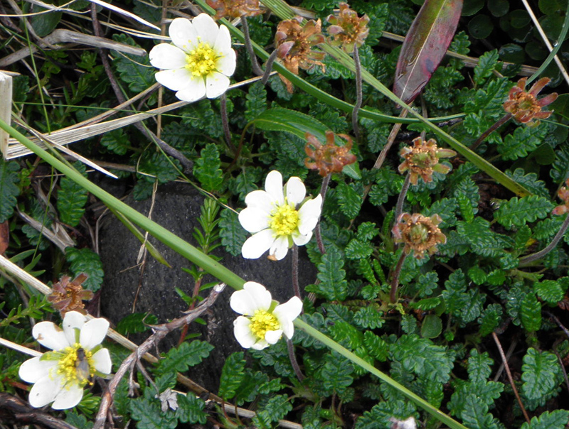 Paluu edelliselle sivulle.