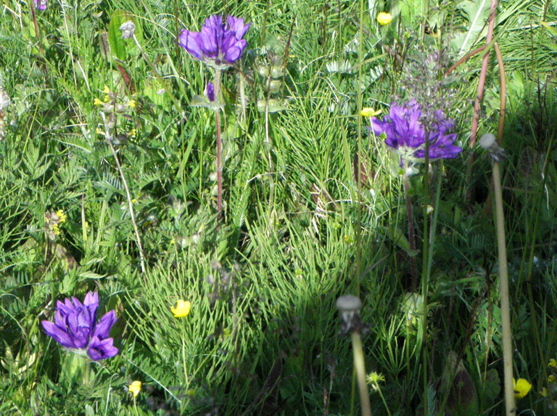 Paluu edelliselle sivulle.