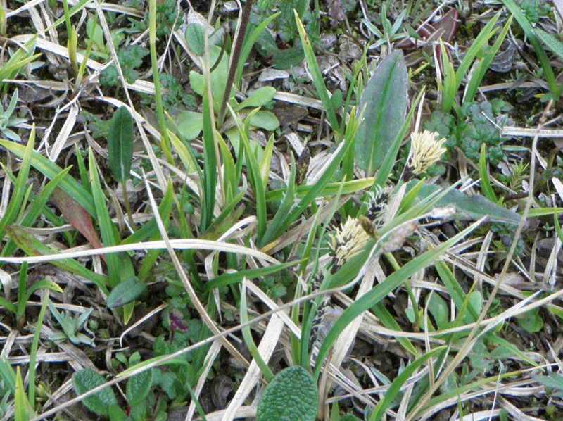Paluu edelliselle sivulle.