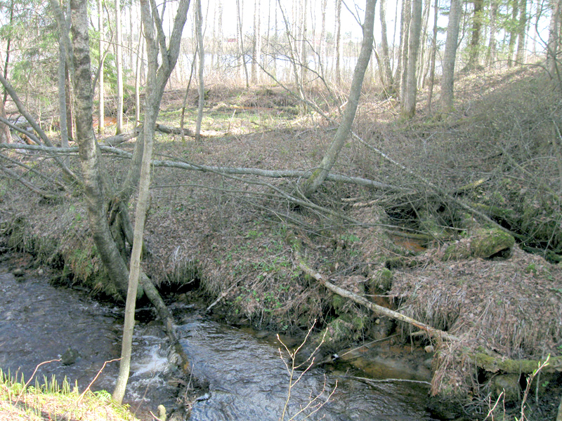 Paluu edelliselle sivulle.