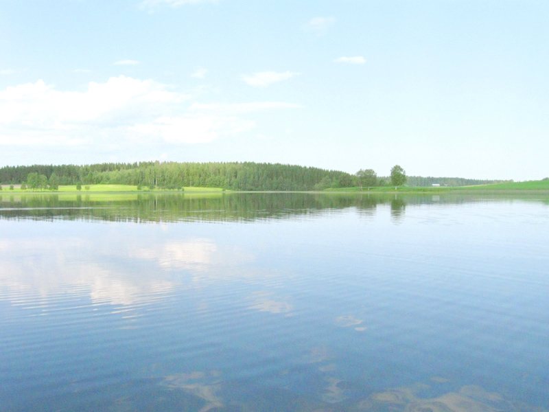 Paluu edelliselle sivulle.