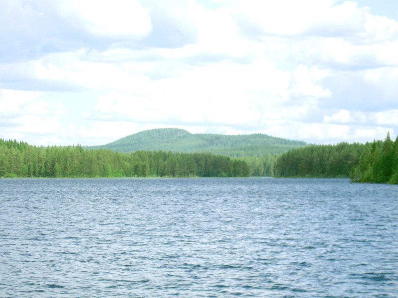 Paluu edelliselle sivulle.