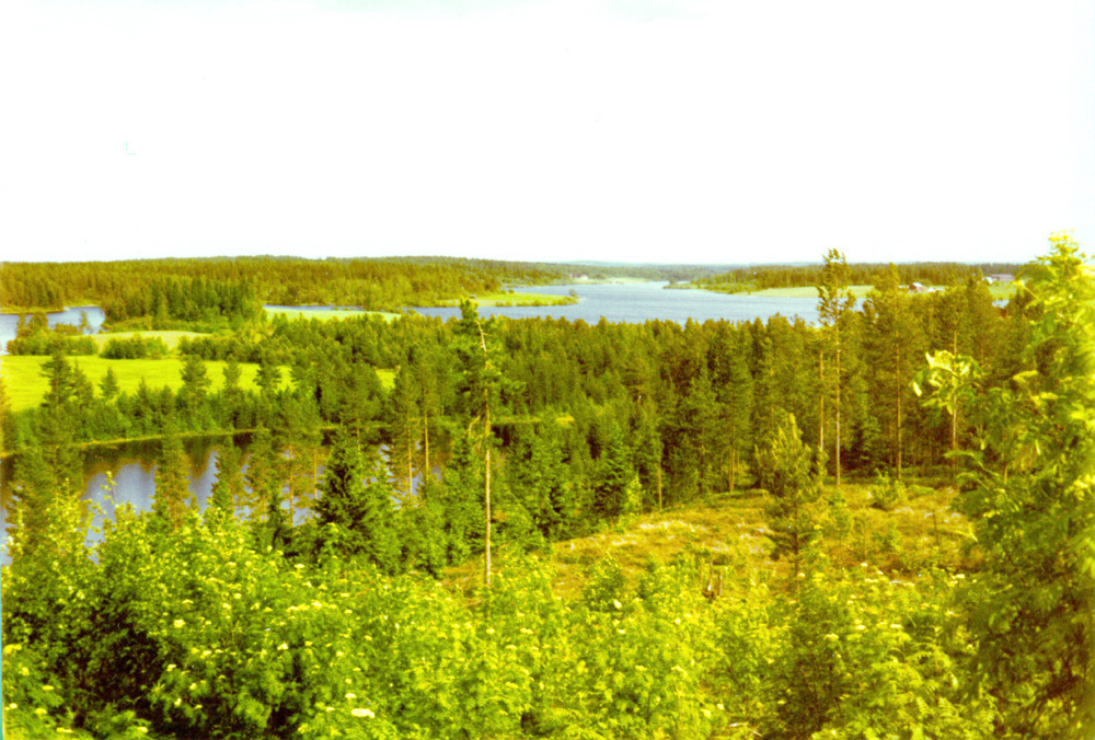 Paluu edelliselle sivulle.